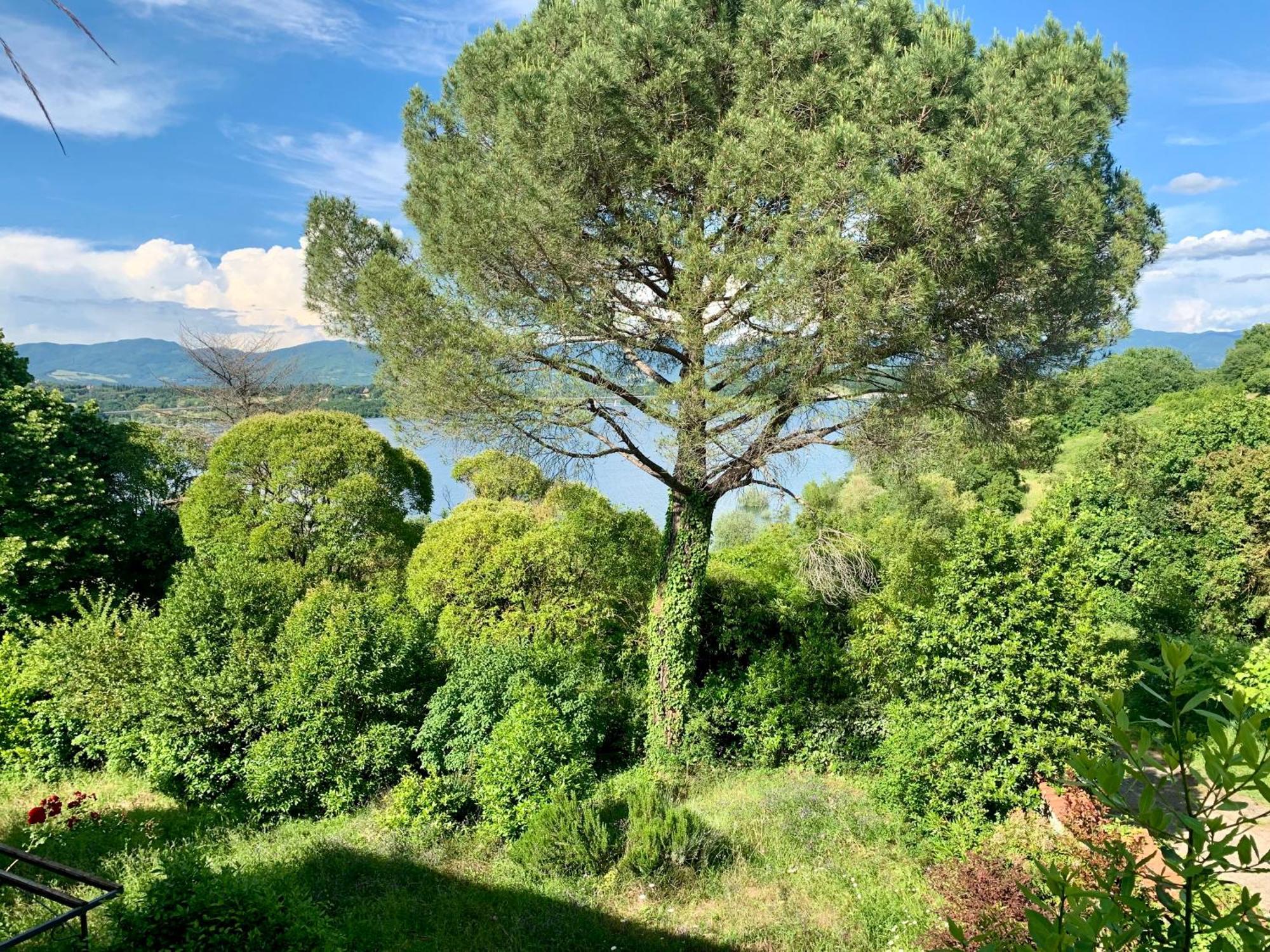 Villa Del Lago Barberino di Mugello Exteriör bild